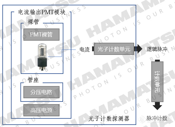 关于光电倍增管（PMT）模块的选型与使用(图2)