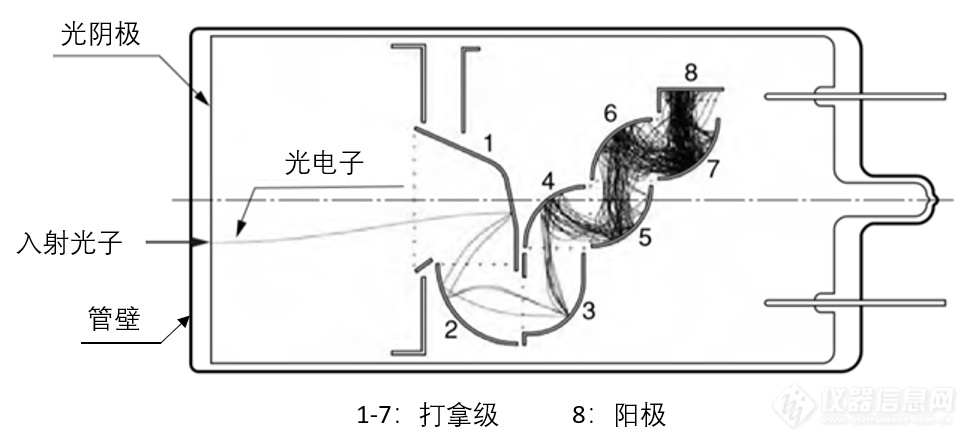 关于光电倍增管（PMT）模块的选型与使用(图8)