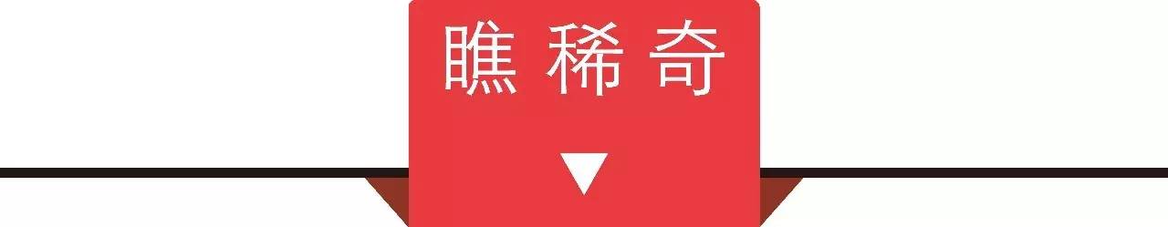 今日成都 成都新世纪电脑城十七年历史告终火星电竞APP(图10)